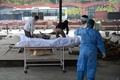 インドの首都ニューデリーにある火葬場で、コロナ犠牲者の遺体を燃やす準備をする作業員と遺族（2020年6月3日撮影）。(c)AFP/Sajjad  HUSSAIN