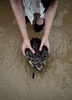 タイのサッタヒープにあるタイ海軍のウミガメ保護センターで、ウミガメを海に放つ女性（2017年7月26日撮影）。(c)AFP/LILLIAN SUWANRUMPHA