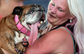 米カリフォルニア州ペタルーマで開催された「世界一醜い犬コンテスト」で、飼い主に抱きかかえられるイングリッシュブルドッグの「ザザ」（2018年6月23日撮影）。(c)AFP PHOTO / JOSH EDELSON