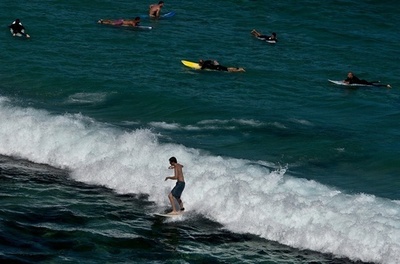 サーファーがクジラに一撃され失神、豪シドニーのビーチ