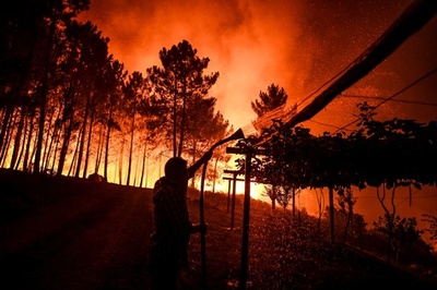 ポルトガル山火事 風にあおられ火の勢い増す 写真25枚 国際ニュース Afpbb News