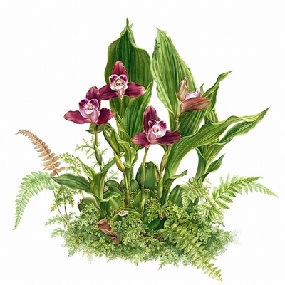 絶滅危惧植物のアート展、米首都の博物館で開催中