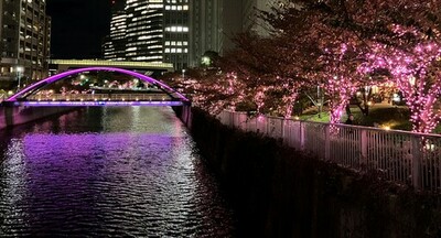 「目黒川みんなのイルミネーション2025」へ食品用紙カップの新感覚アップサイクル体験ブースを出展