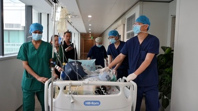 “パンダ血”の心臓病の子ども 南京で無料手術