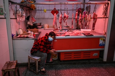 WHO、新型コロナの起源めぐり初の国際専門家会議