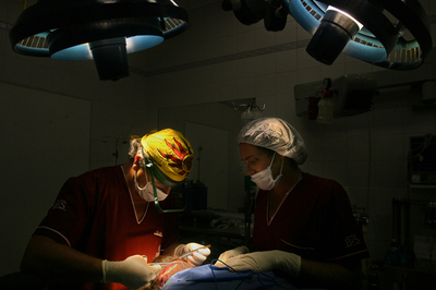 元ミス・アルゼンチンが美容形成手術後に死亡