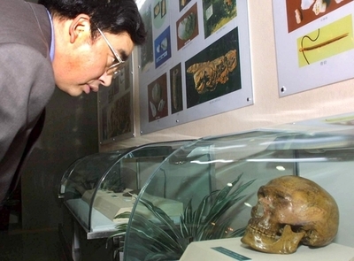 マレーシアで前年発見の石器、東南アジア最古か