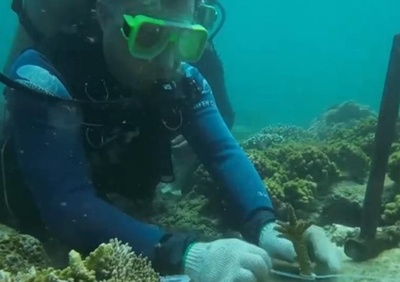 中国 海底で「植林」を推進