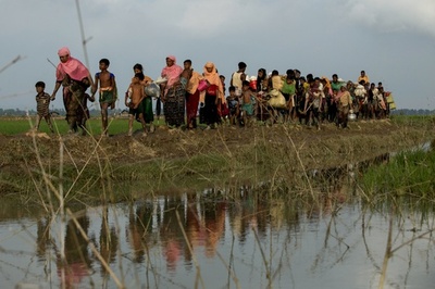 ミャンマー政府、ロヒンギャの水田で収穫に着手