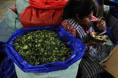 ボリビア、コカ栽培を拡大する新法案が成立