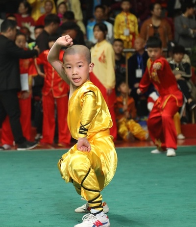 江蘇で武術大会 選手らが雄姿を競う