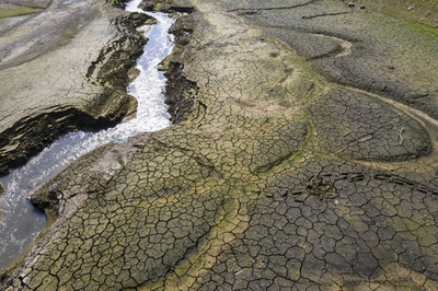 気候変動対策が不十分なのは「国の責任」 仏裁判所が画期的判断