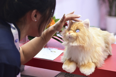 世界ロボット大会2023を探る：ロボットの日常生活への融合が加速