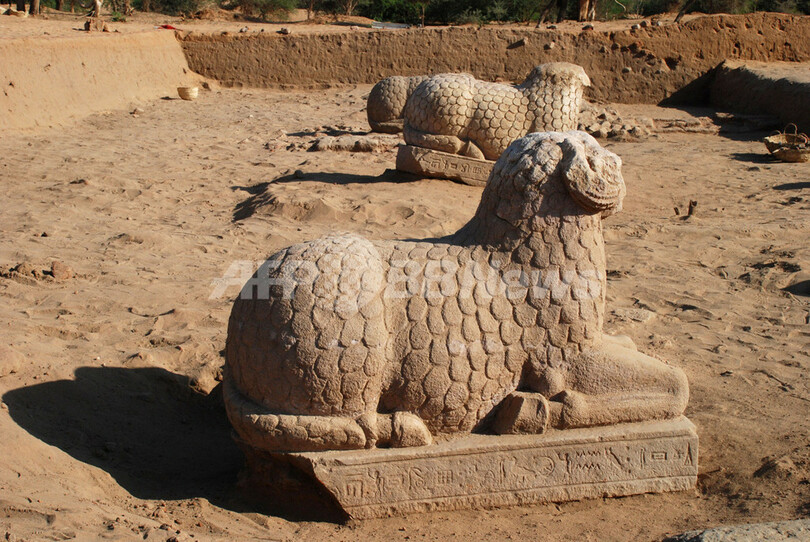 スーダンでヒツジの石像出土、サハラ以南アフリカ古代文明の解明に期待