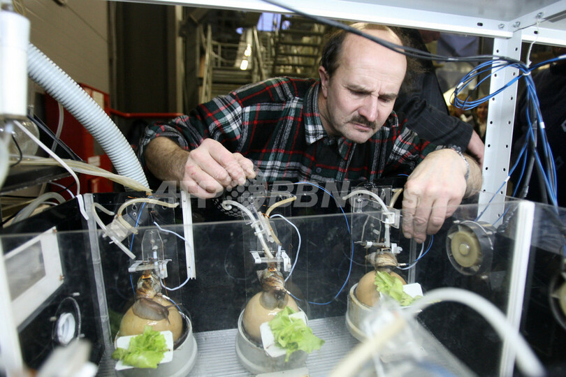 大気汚染の監視にカタツムリ抜てき、ロシア