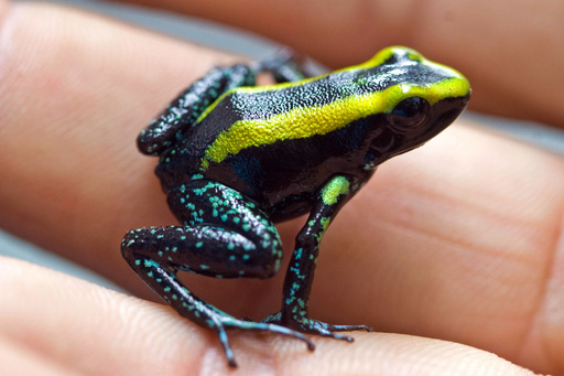 img_76592cd5b0213bafaa7aa495f0