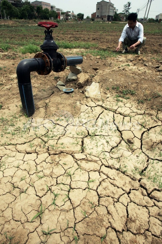 中国中部、50年来で最悪の干ばつ被害 深刻な電力不足も 中国中部、50年来で最悪の干ばつ被害 深刻な電力不足も