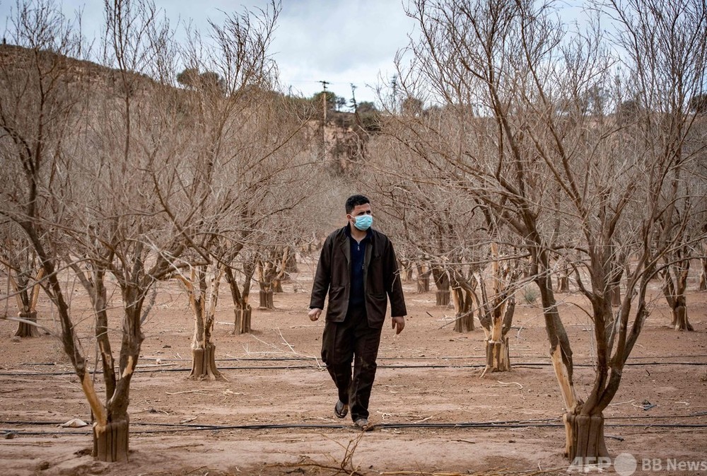 干からびた農地3年で干ばつ悪化 モロッコ