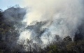 ボリビア・ロボレ近郊にあるアマゾンの熱帯雨林で起きた火災から立ち上る煙（2019年8月28日撮影）。(c)AIZAR RALDES / AFP