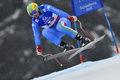 アルペンスキー世界選手権2013（2013 FIS Alpine World Ski Championships）は9日、オーストリアのシュラートミング（Schladming）で男子滑降が行われ、ノルウェーのアクセル・ルンド・スビンダル（Aksel Lund Svindal）が2分1秒32で優勝を飾った。

滑降に臨むドミニク・パリス（Dominik Paris、2013年2月9日撮影）。(c)AFP/FABRICE COFFRINI