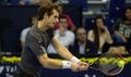 男子テニス、バレンシア・オープン（Valencia Open 2014）シングルス準々決勝。リターンを打つアンディ・マレー（Andy Murray、2014年10月24日撮影）。(c)AFP/JOSE JORDAN