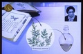 スウェーデン・ストックホルムのカロリンスカ研究所で、ノーベル医学生理学賞受賞が発表された中国の屠●●氏（●は口へんに幼）の研究内容を説明する際に使われた画像（2015年10月5日撮影）。(c)AFP/JONATHAN NACKSTRAND