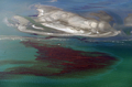 米南部ルイジアナ（Louisiana）州沖にあるシャンドルール諸島（Chandeleur Islands）付近の原油の帯（2010年5月7日撮影）。(c)AFP/Mark RALSTON