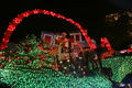 2007年12月15日、コスタリカの首都サンホセ（San Jose）で開催された「ライト・フェスティバル（Light Festival）」のパレードで、山車に乗った参加者。(c)AFP/Yuri CORTEZ