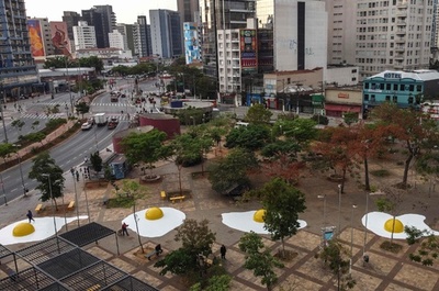 【今日の1枚】地面で焼けた? 温暖化に警報