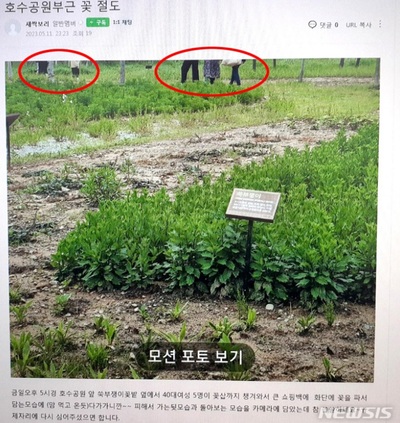 韓国の公園から草花を根こそぎ盗んだ犯人は…女性5人組「花泥棒」