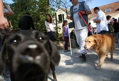「舌で見る」盲目の英兵、視覚障害者向けの画期的な装置