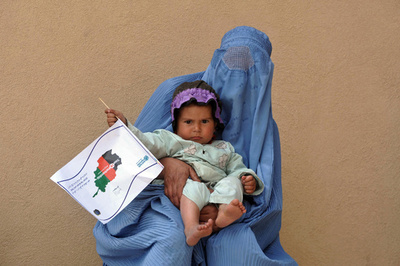 ビタミンCに結核菌の殺傷効果、米チームが偶然発見