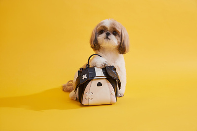 「トッズ」Mr. Bagsとコラボ、バックパック限定発売