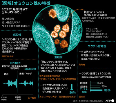 【図解】これまでに分かっているオミクロン株の特徴