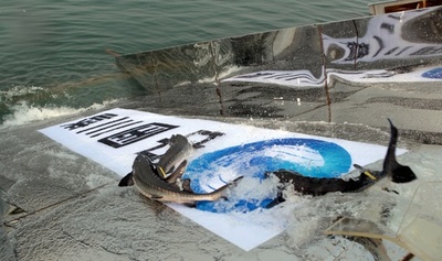 野生のカラチョウザメ、繁殖確認できず 中国