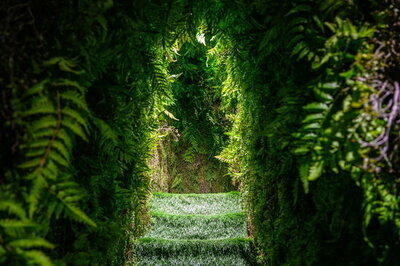 [旅行ライブ] ソウル城東区…「都市再生」コース (上) – KOREA WAVE