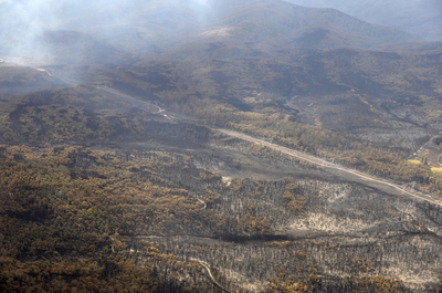 オーストラリアの山火事、死者166人に 新たな出火の懸念高まる