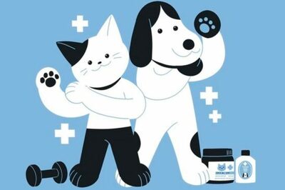 韓国でペットの栄養剤が続々…効能・有効成分の検証を求める声