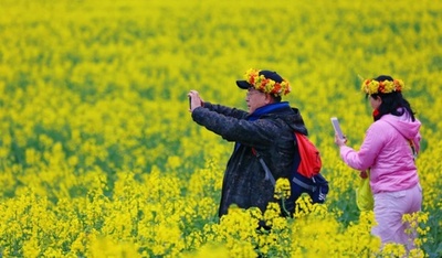 中国雲南省で花見専用列車が運行