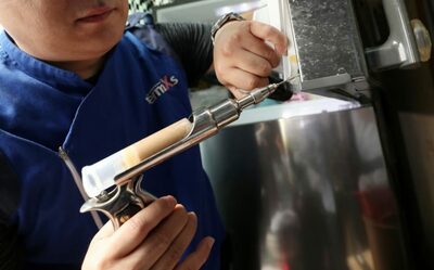 韓国・釜山の港に外来ゴキブリが定着…成虫・幼虫・卵鞘を確認、拡散を警戒