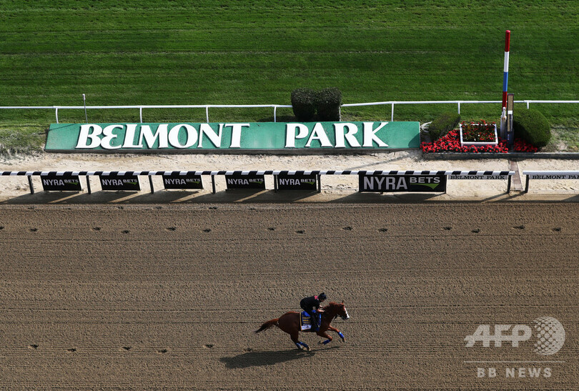 ベルモントsが今季米競馬三冠の初戦に 距離も短縮 写真1枚 国際ニュース Afpbb News