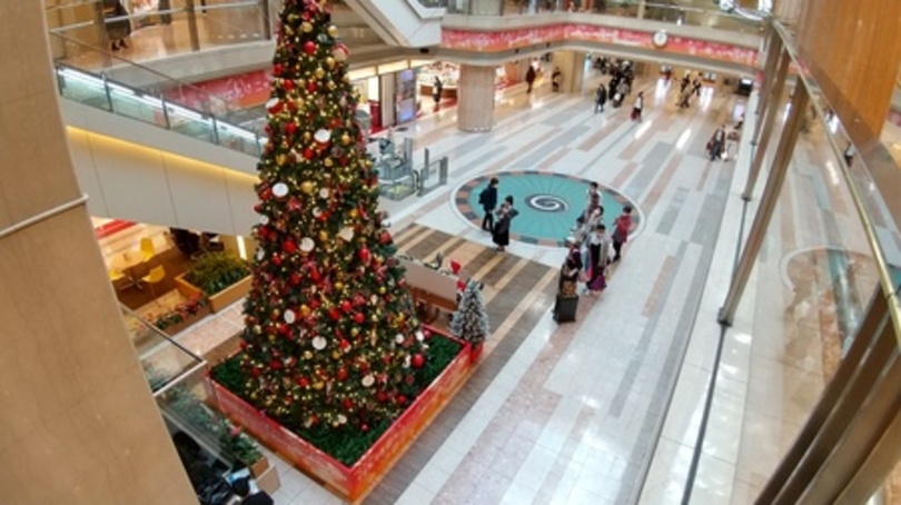 日本初のクリスマスパーティー開催地 福井県からの贈り物 羽田空港の巨大クリスマスツリーとコラボ 写真1枚 国際ニュース Afpbb News 日本初のクリスマスパーティー開催地 福井県からの贈り物 羽田空港の巨大クリスマスツリーとコラボ 写真1枚 国際ニュース Afpbb News