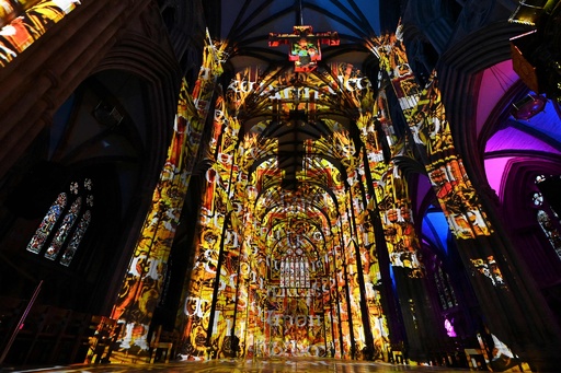 img_774c7cd278c996203f7b1f243a