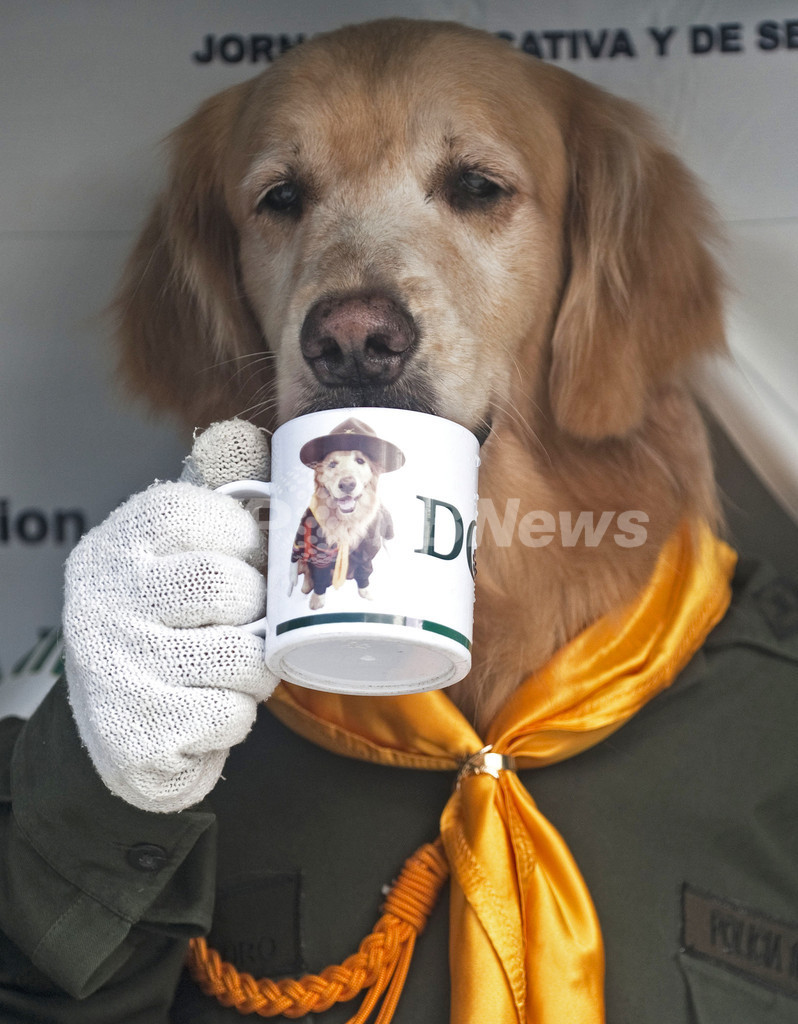 特集 おもしろ動物写真集 癒やし系から仰天系まで 写真70枚 マリ クレール スタイル Marie Claire Style