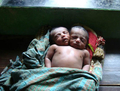 バングラデシュ・ジョソール（Jessore）にある病院で眠る赤ちゃん（2008年8月26日撮影）。(c)AFP