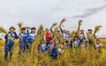 修学旅行で光東村を訪れた生徒たち（2023年10月撮影）。(c)Xinhua News