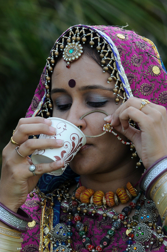ヒンズー教の祭り「ナブラトリ」、民族舞踏のリハーサル インド