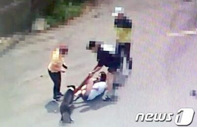 首輪つけず犬放置、人と犬を襲う…韓国・飼い主を過失致傷で立件