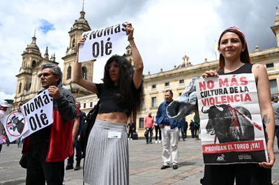 コロンビア下院、闘牛禁止法案を可決