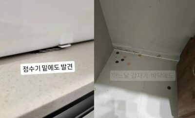 「10ウォン硬貨の呪い？」…韓国・美容室を襲った不気味な嫌がらせ
